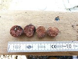 Size of the first clay pebbles